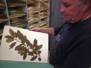 Dr. Eugene Wofford shows how they store the plants. Photo by Zach Dennis.